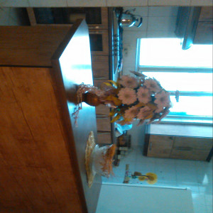 home-1