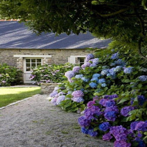 home-1